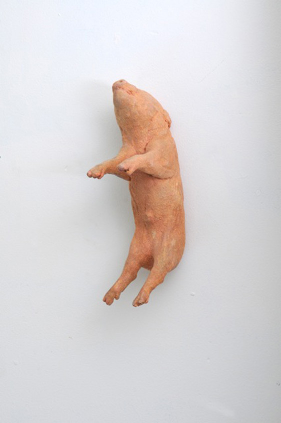 Pink Flocked Fetal Pig,1983, Debby Davis