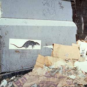 Christy Rupp rat poster thumbnail