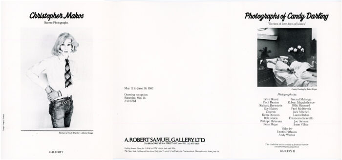 folded card for Makos and Candy Darling exhibitions