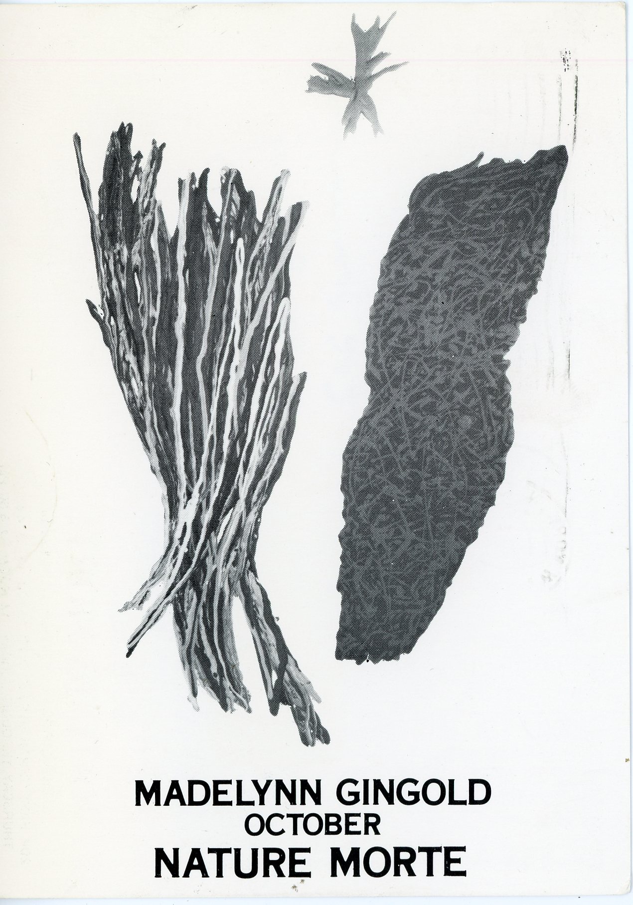 front of nature morte richard milani card