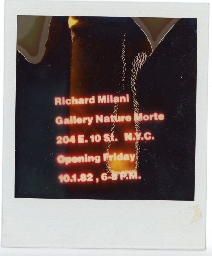 Richard Milani Nature Morte polaroid invitation