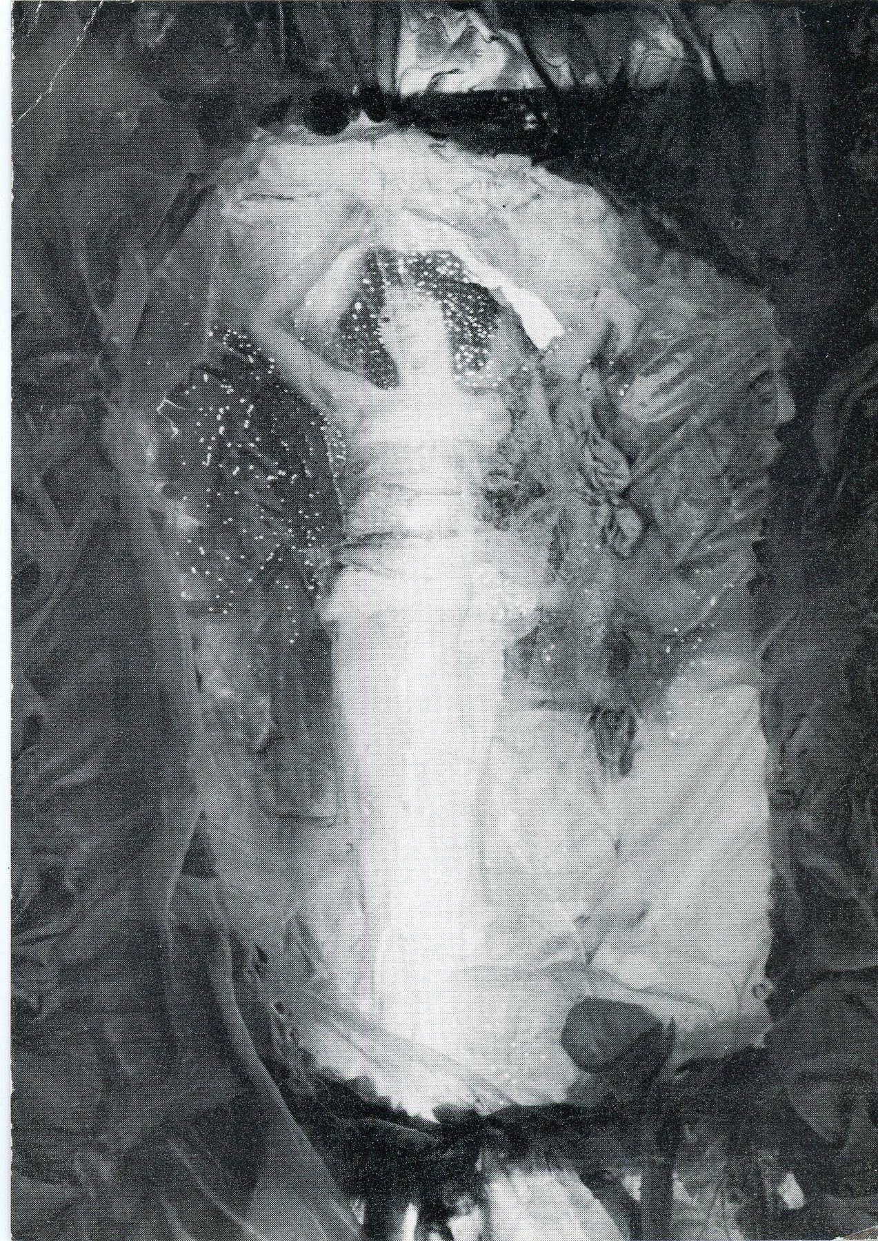 colette card - front