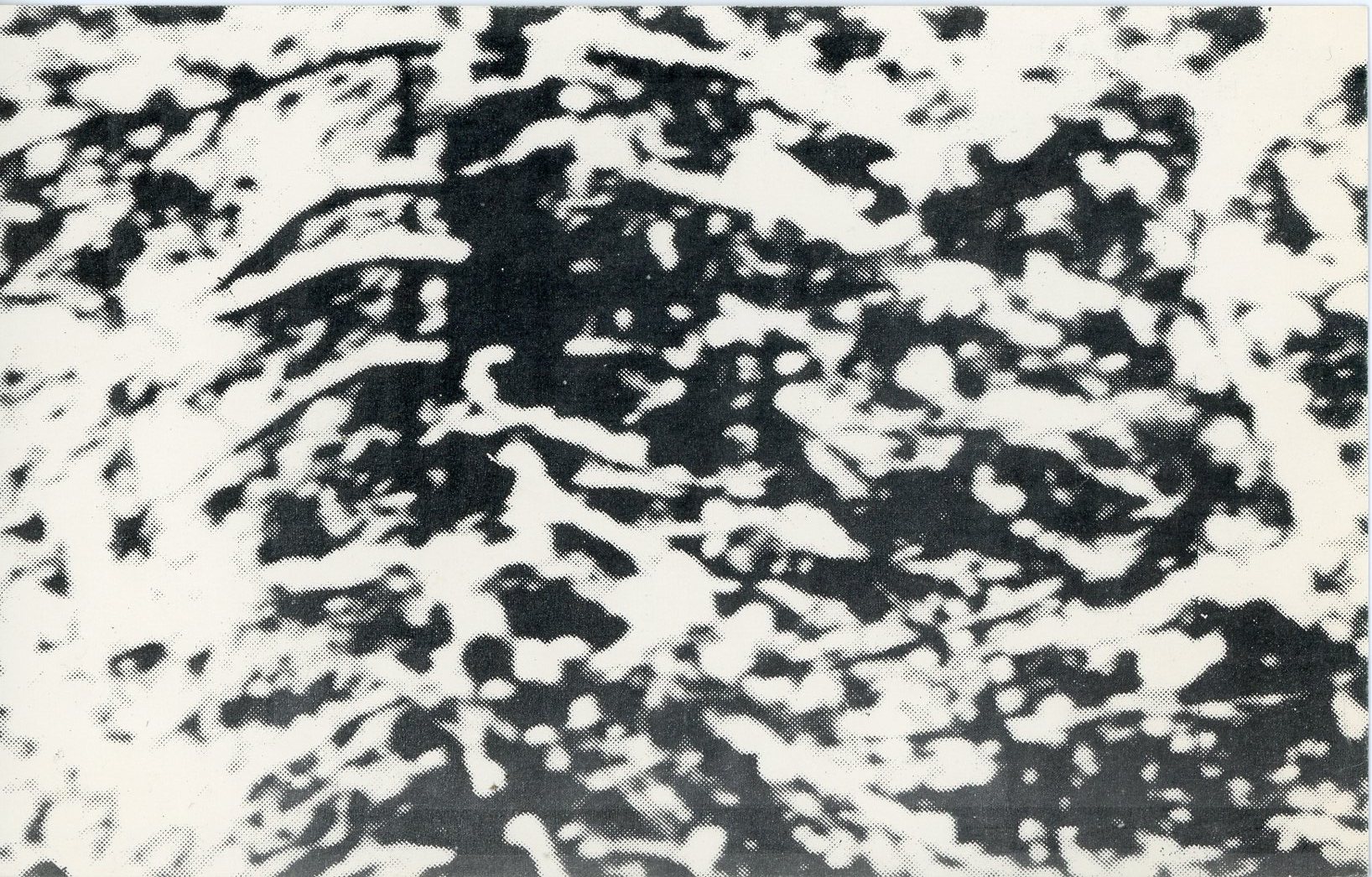 Donald Newman card front