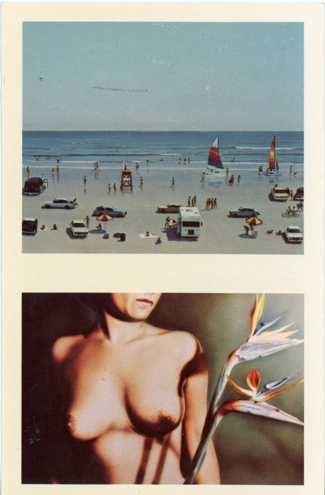 front of hoppe and frets card for Joy Horwich Gallery