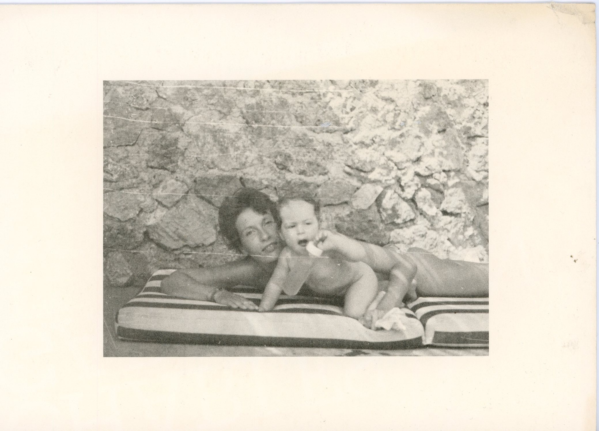 julian schnabel cage without bars