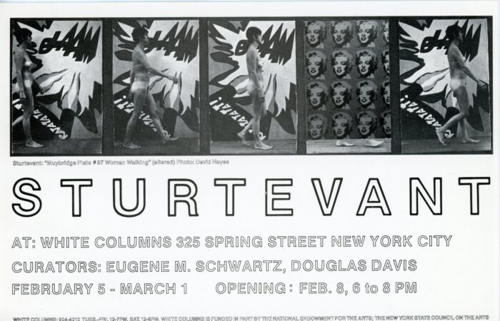 sturtevant card back for white columns