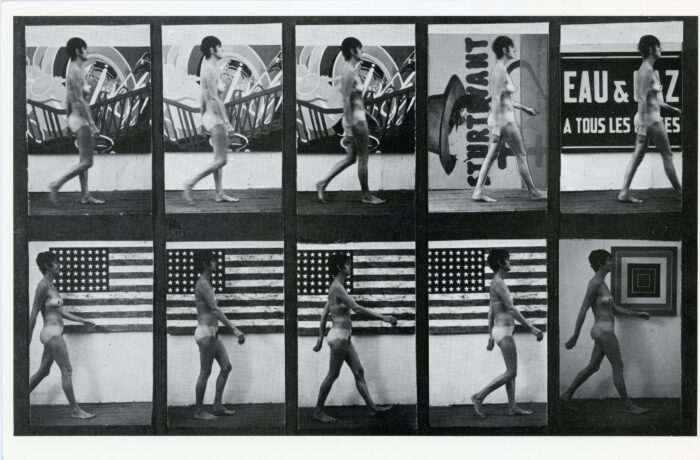 sturtevant card for white columns