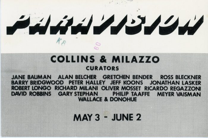 paravision, a group show at Postmasters Gallery