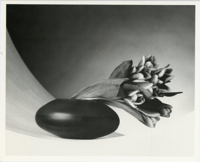 Robert Mapplethorpe card for Fraenkel Gallery