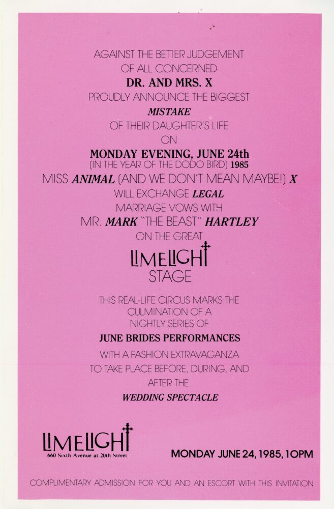 Miss Animal party at Limelight