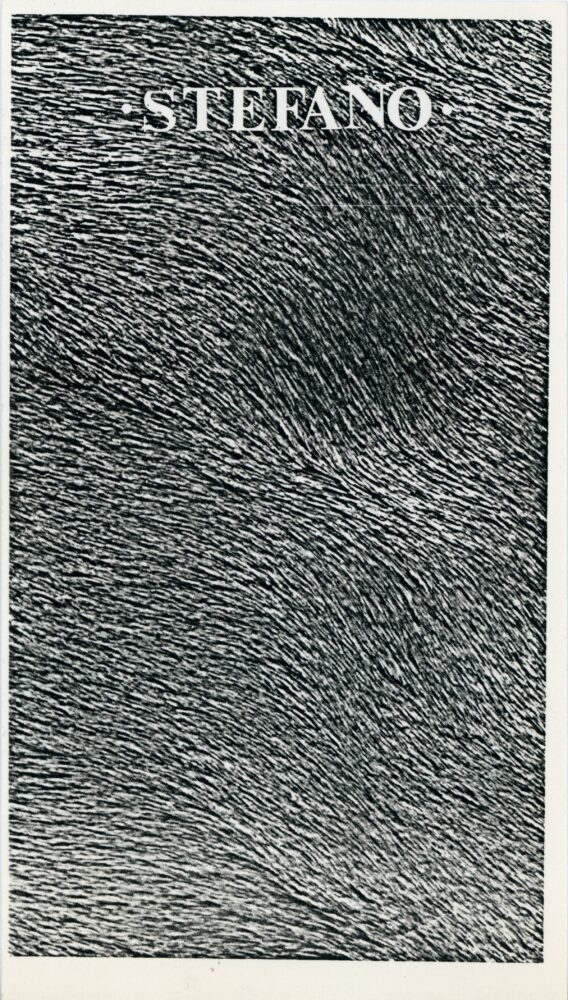 stefano castronovo card for danceteria