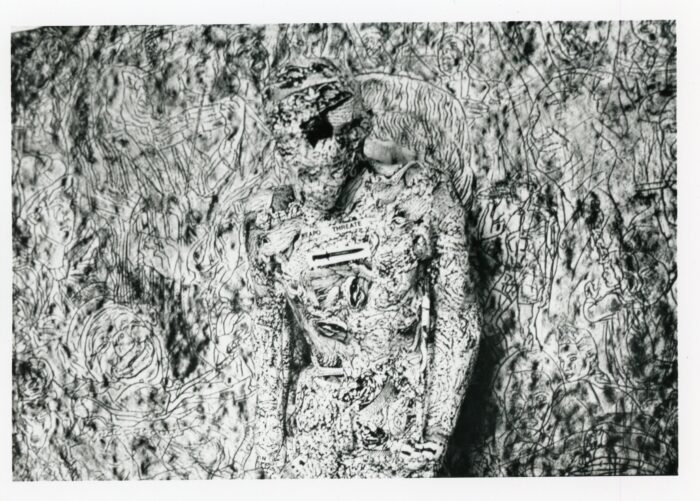 joseph nechvatal insert 