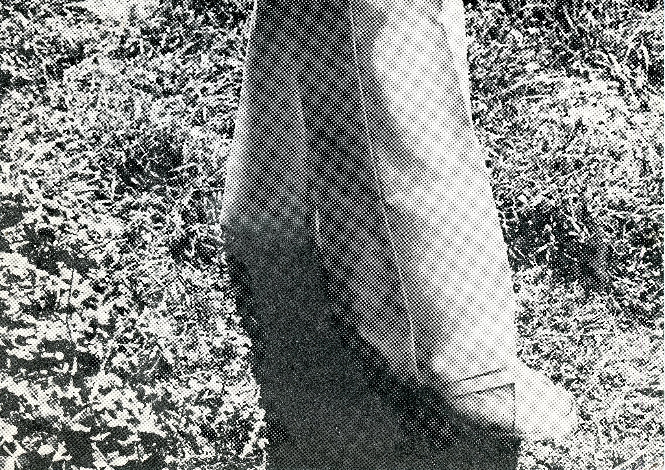 john baldessari card - front