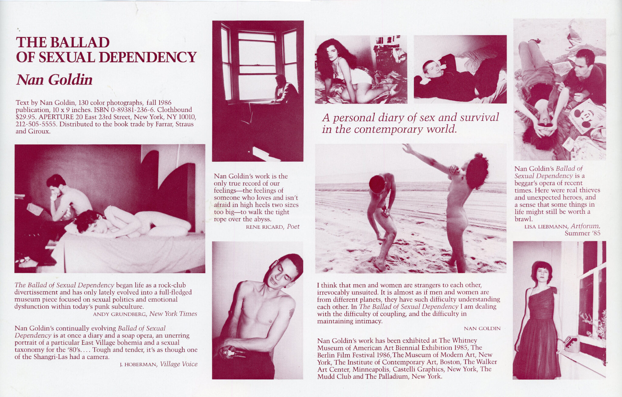 the ballad of sexual dependency