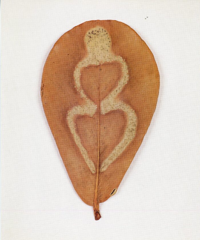 ana mendieta at carlo lamagna gallery