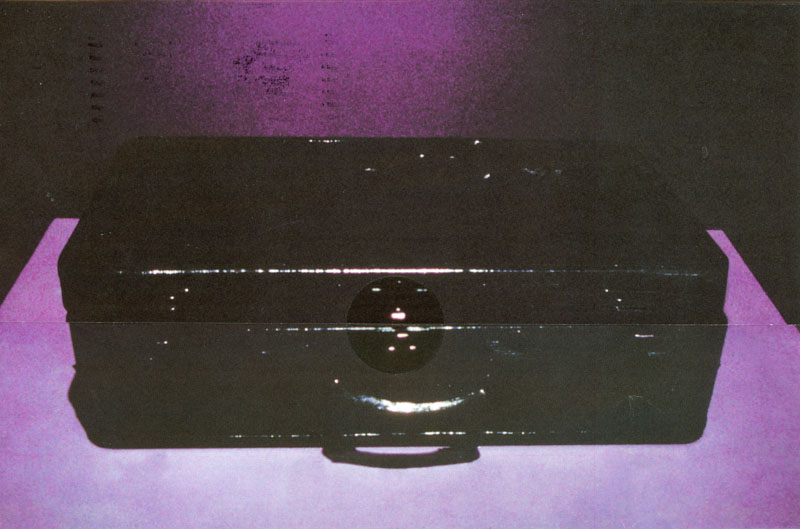 Meredith Monk Shrines