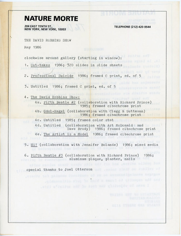 The David Robbins Show at Nature Morte