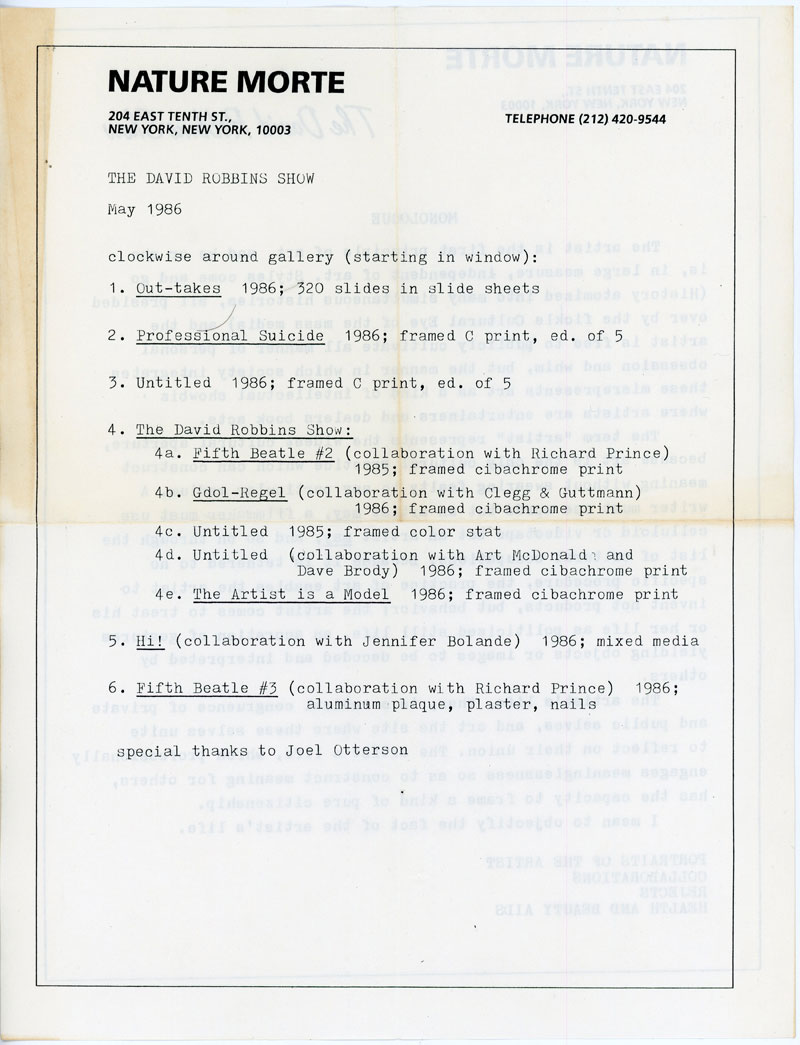 The David Robbins Show at Nature Morte