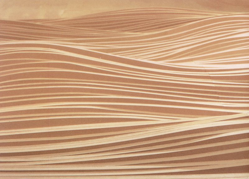 NYU Grey Art Gallery, Maya Lin: Topologies