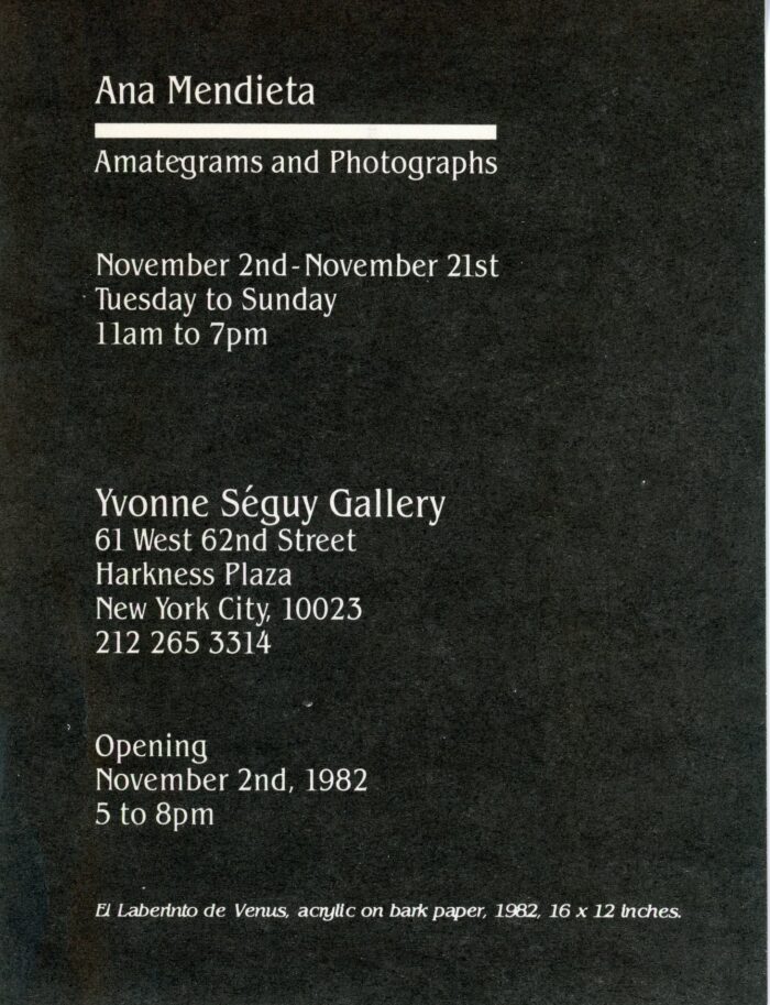 Yvonne séguy Gallery Ana Mendieta