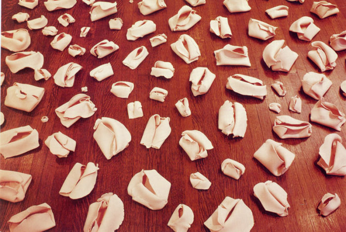 Hannah Wilke Sculpture and Other Works Ronald Feldman 1999