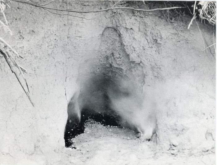 Ana Mendieta AIR