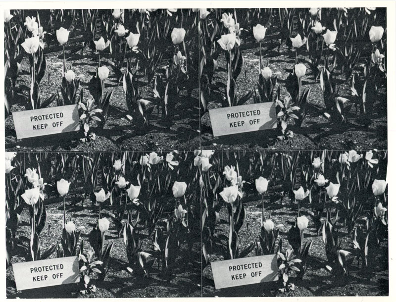 Texas-Gallery,-Andy-Warhol,-Photographs,-Card,-1988