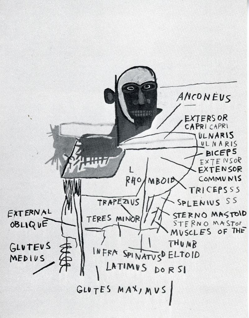 jean-michel basquiat annina nosei gallery