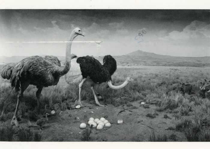 hiroshi sugimoto photographs sonnabend