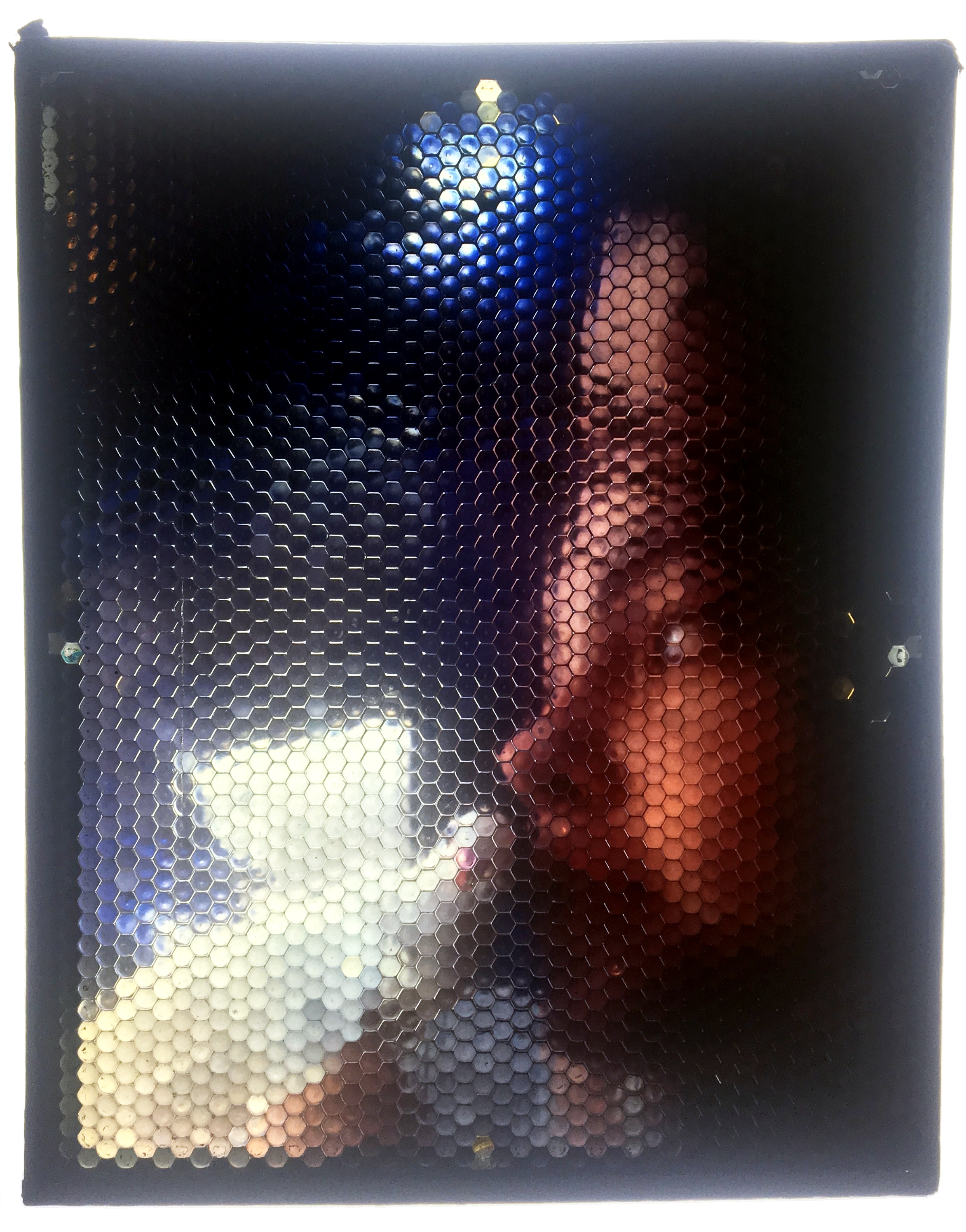 intagram portrait of a dove with girl