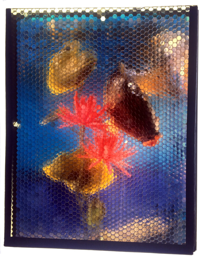 integram photograph fish with plant