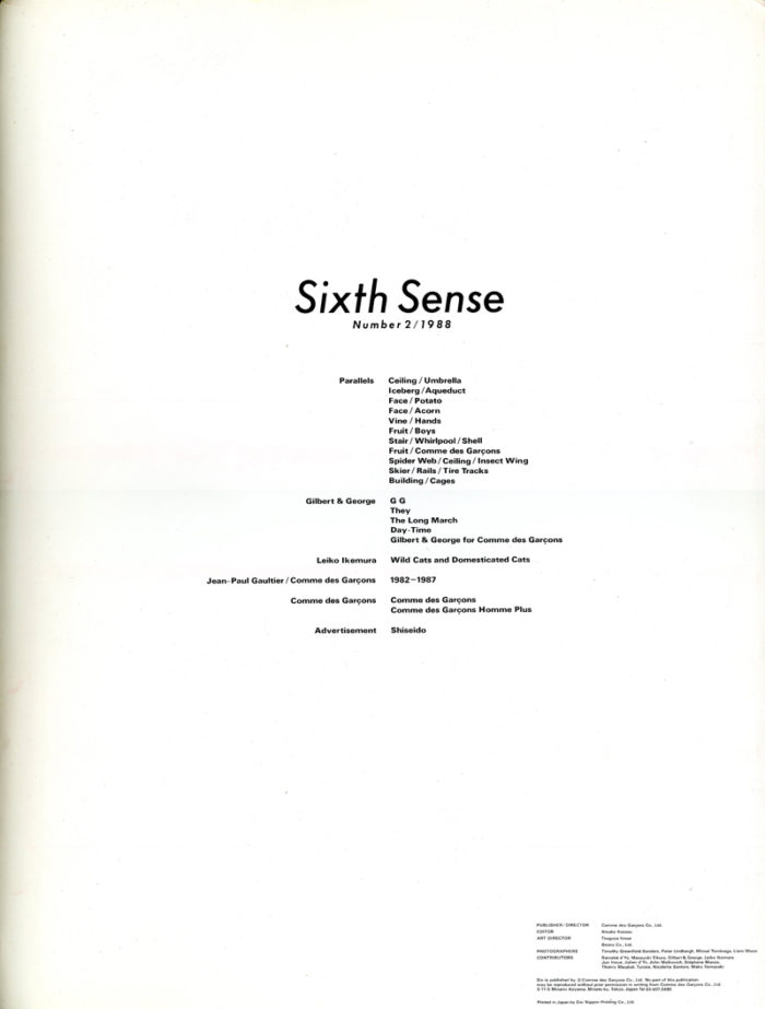 Gallery 98 | Comme des Garcons, Six / Sixth Sense, Number 2 